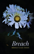 Breach - Paperback