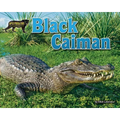 Black Caiman - Library Binding