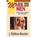 Mark These Men: A Unique Look at Selected Men of the Bible - Paperback