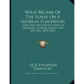 What Became Of The Slaves On A Georgia Plantation: Great Auction Sale Of Slaves, At Savannah, Georgia, March 2nd And 3rd, 1859 (1863) - Paperback