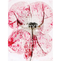 Brigitte Lustenberger: An Apparition of Memory - Paperback