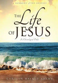 The Life of Jesus - Paperback