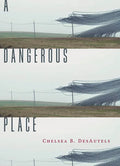 A Dangerous Place - Paperback