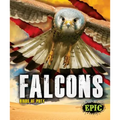 Falcons - Library Binding