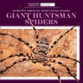 Giant Huntsman Spiders - Library Binding