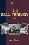 The Bull Terrier - Paperback