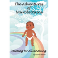 The Adventures of Nairobi Raine: Meeting Mr. All Knowing - Paperback
