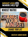 The Mindset Matrix - Paperback