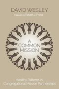 A Common Mission: Healthy Patterns in Congregational Mission Partnerships - Paperback