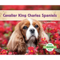 Cavalier King Charles Spaniels - Library Binding