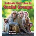 Animals That Live in Social Groups - Paperback