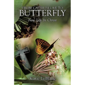 From Caterpillar to Butterfly: New Life in Christ - Paperback