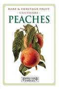 Peaches: Rare and Heritage Fruit Cultivars #8 - Paperback