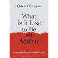 What Is It Like to Be an Addict?: Understanding Substance Abuse - Hardcover