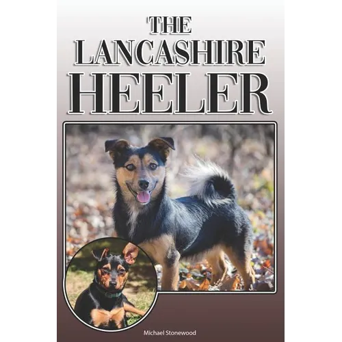 The Lancashire Heeler: A Complete and Comprehensive Owners Guide to: Buying, Owning, Health, Grooming, Training, Obedience, Understanding and - Paperback