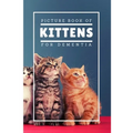 Picture Book Of Kittens For Dementia: A Gift Book for Alzheimer's Patients and Seniors with Dementia, A delightful picture book of 20 adorable kittens - Paperback