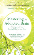 Mastering the Addicted Brain: Building a Sane and Meaningful Life to Stay Clean - Paperback