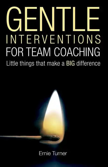 Gentle Interventions for Team Coaching: Little things that make a BIG difference - Paperback