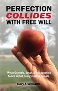 Perfection Collides With Free Will: What Genesis, Jesus & his apostles teach about being male & female - Paperback