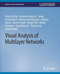 Visual Analysis of Multilayer Networks - Paperback