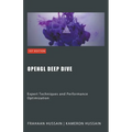 OpenGL Deep Dive: Expert Techniques and Performance Optimization - Paperback