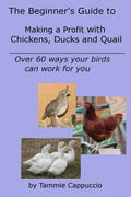 The Beginner's Guide to Making a Profit with Chickens, Ducks and Quail: Over 60 ways to have your birds work for you - Paperback