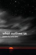 What Outlives Us - Paperback