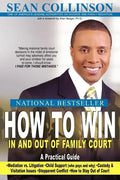 How to Win in and Out of Family Court: A Practical Guide - Paperback