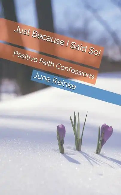 Just Because I Said So!: Positive Faith Confessions - Paperback