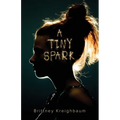 A Tiny Spark - Paperback