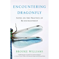 Encountering Dragonfly: Notes on the Practice of Re-Enchantment - Paperback