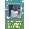 Do They Have Bad Days in Heaven?: Surviving the Suicide Loss of a Sibling - Paperback