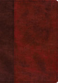 ESV Single Column Journaling Bible, Large Print (Trutone, Burgundy/Red, Timeless Design) - Imitation Leather