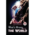What's Wrong With The World - Paperback