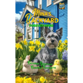 Mina's Backyard - Forever Home - Hardcover