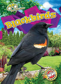 Blackbirds - Library Binding