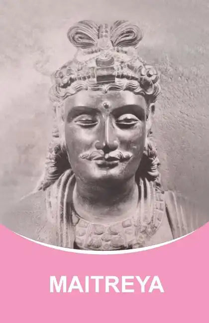 Maitreya: Dictations through the Messenger Tatyana Nicholaevna Mickushina - Paperback