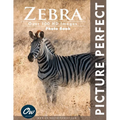 Zebra: Picture Perfect Photo Book - Paperback