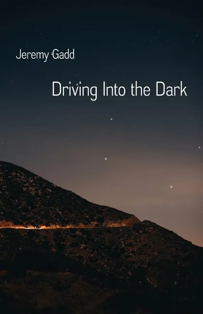 Driving Into the Dark - Paperback
