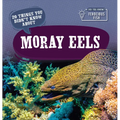 20 Things You Didn't Know about Moray Eels - Library Binding