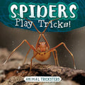 Spiders Play Tricks! - Library Binding