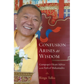 Confusion Arises as Wisdom: Gampopa's Heart Advice on the Path of Mahamudra - Paperback