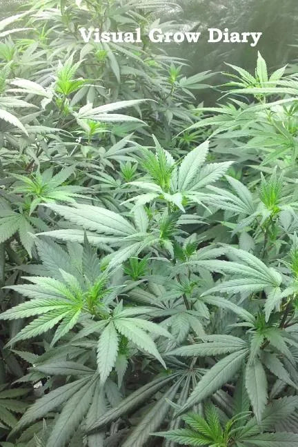 Visual Grow Diary - Paperback