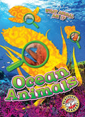 Ocean Animals - Library Binding