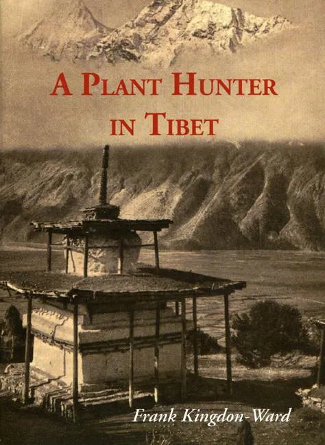 A Plant Hunter In Tibet - Paperback