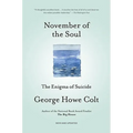 November of the Soul: The Enigma of Suicide - Paperback