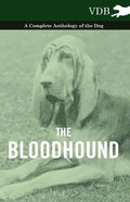 The Bloodhound - A Complete Anthology of the Dog - - Paperback