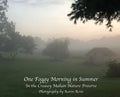 One Foggy Morning in Summer: In the Creasey Mahan Nature Preserve - Hardcover