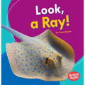 Look, a Ray! - Paperback