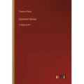 Common Sense: in large print - Paperback